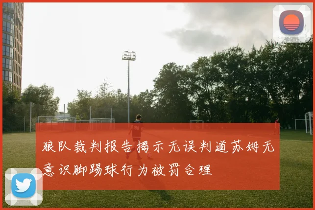 狼队裁判报告揭示无误判道苏姆无意识脚踢球行为被罚合理